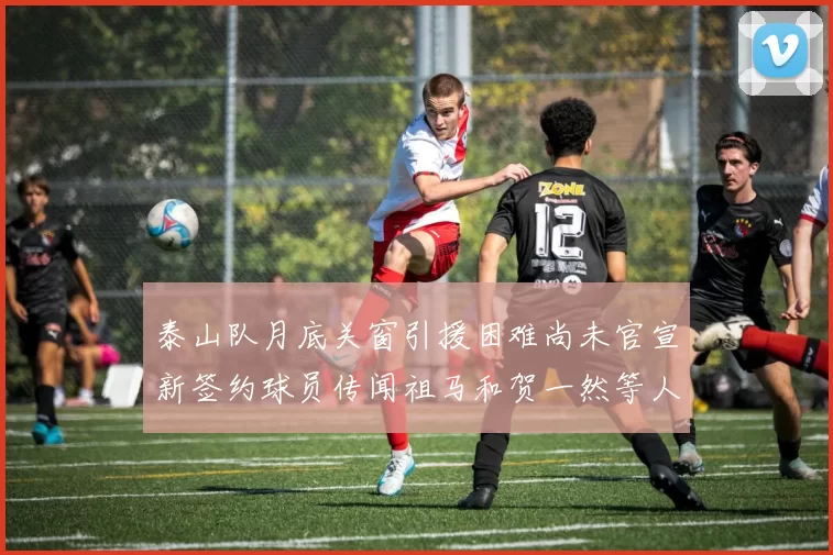 泰山队月底关窗引援困难尚未官宣新签约球员传闻祖马和贺一然等人