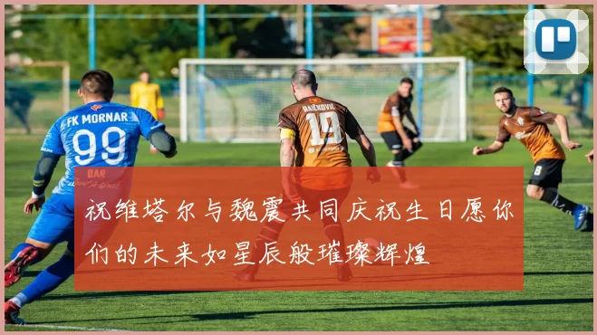 祝维塔尔与魏震共同庆祝生日愿你们的未来如星辰般璀璨辉煌